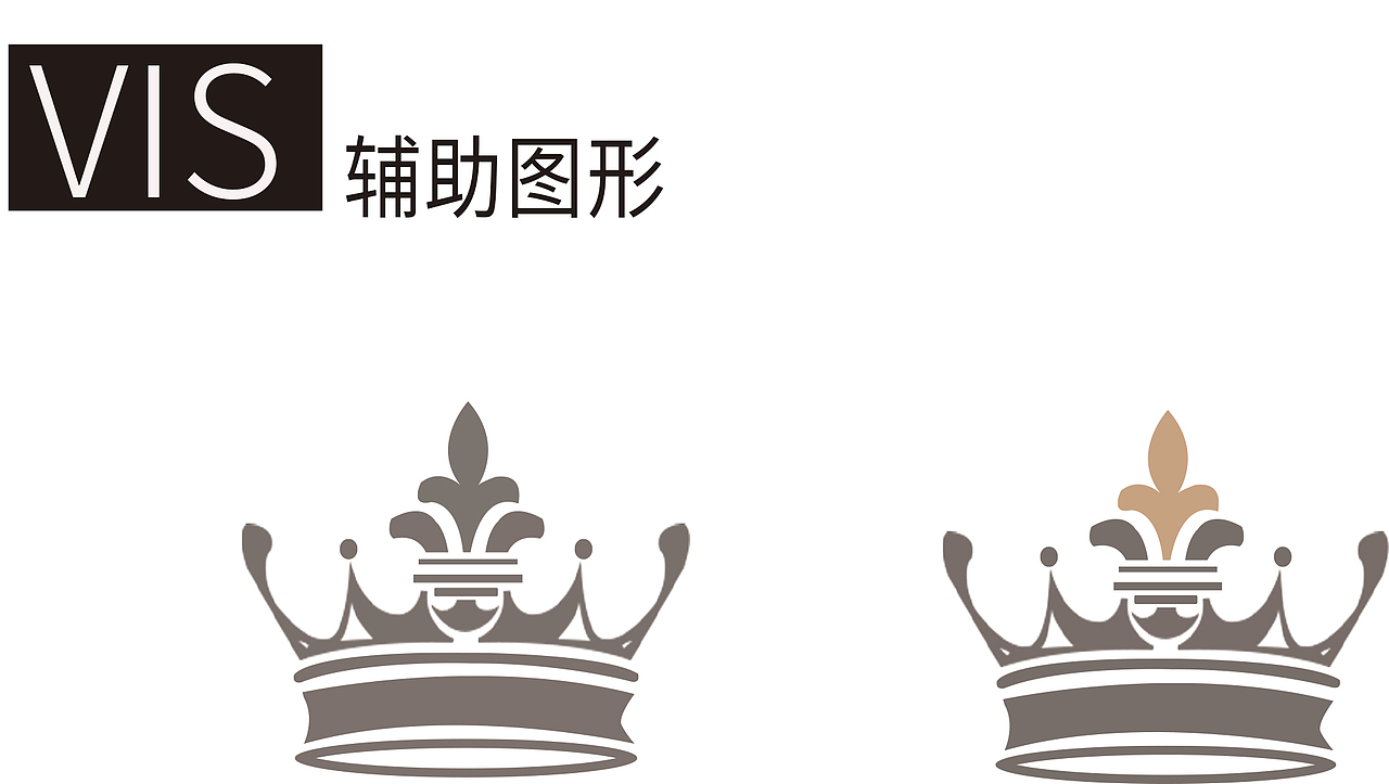 VIS视觉识别系统