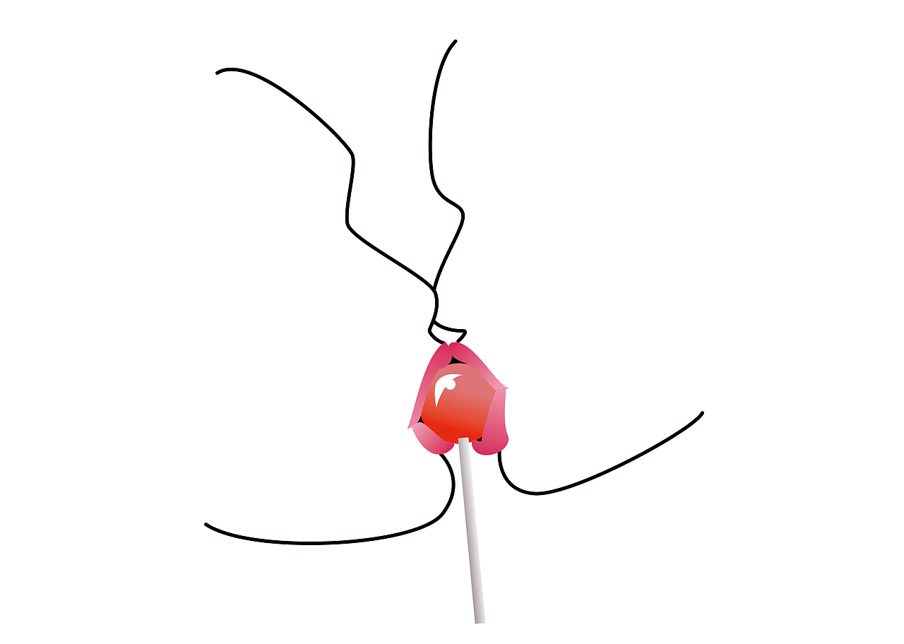 珠穆朗玛阿尔卑斯烈焰红唇棒棒糖