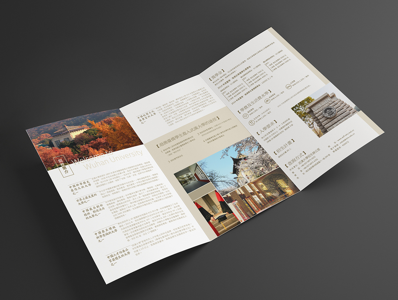 那些年做过的折页设计