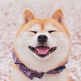 小秋初的头像