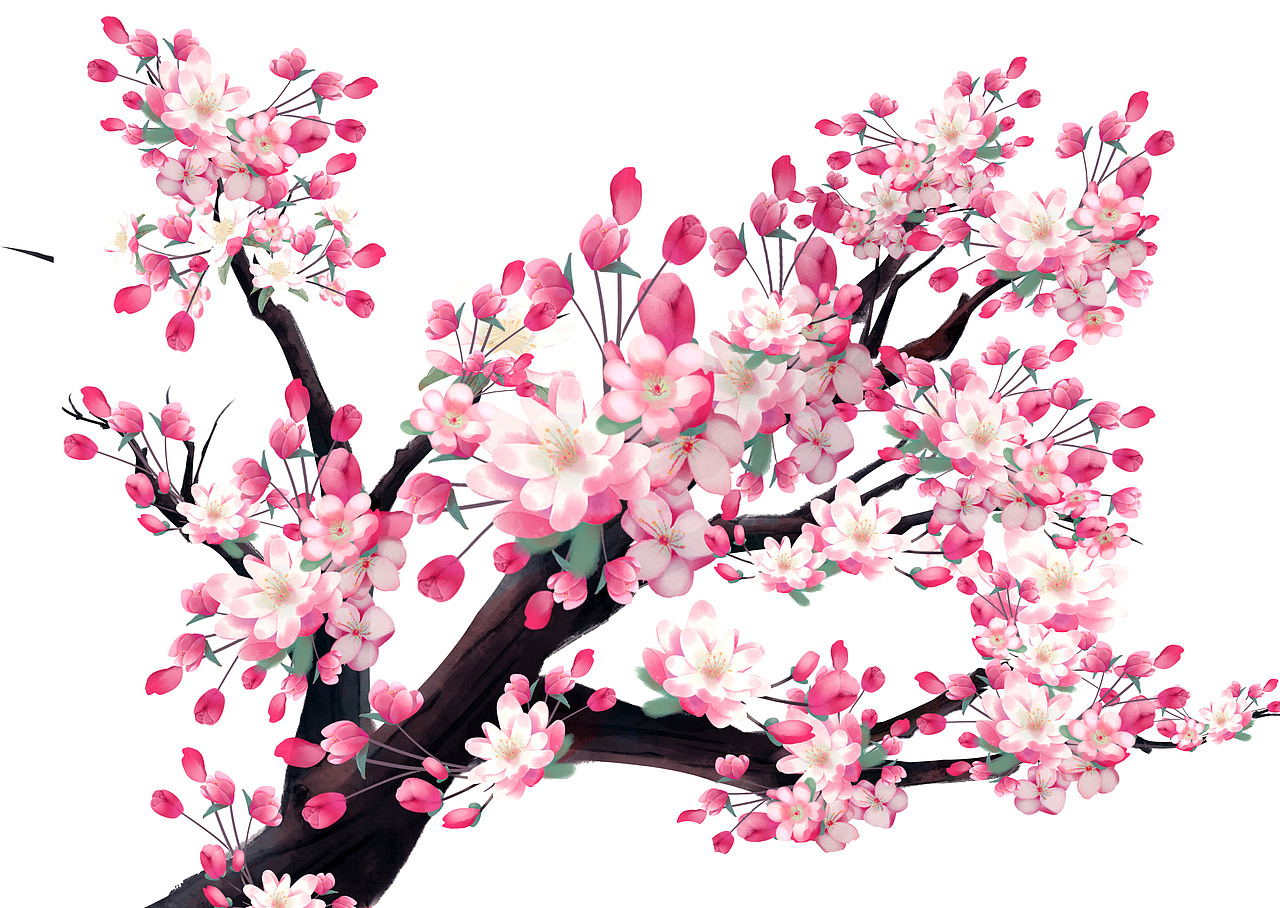 花枝练习