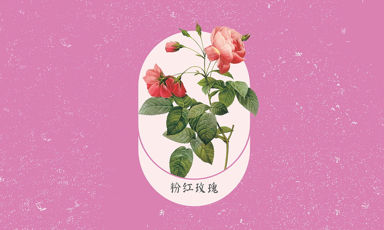 *臻·爱* 爱上粉嫩小红脸——铁皮石斛花果茶（图ZMTQwNDIxMzI0） - 包装 - 站酷设计师胡太纯原创素材 - 站酷ZCOOL