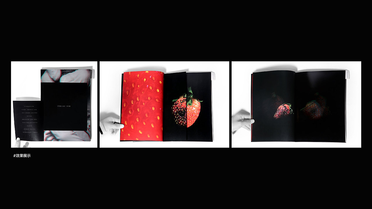 我的简历&作品集