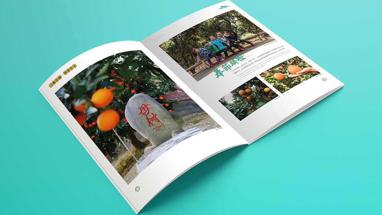 奉节旅游画册（图ZMjQ1NzE5NzQ4） - 书籍/画册 - 站酷设计师蓝月涛Lyt原创素材 - 站酷ZCOOL