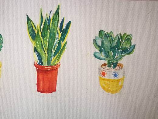 盆栽（个人主页-ZNDgxMzAwNzY=） - 创作习作 - 站酷设计师Z41054169原创素材 - 站酷ZCOOL