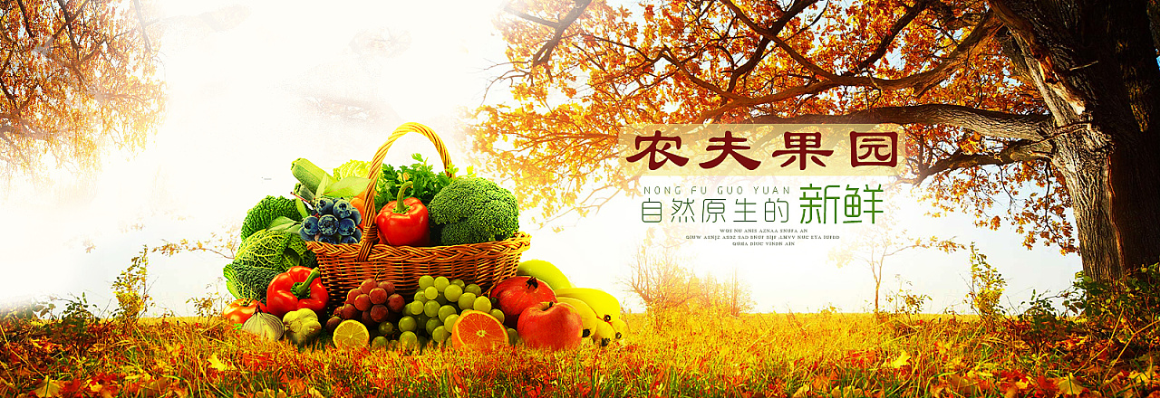 水果蔬菜banner
