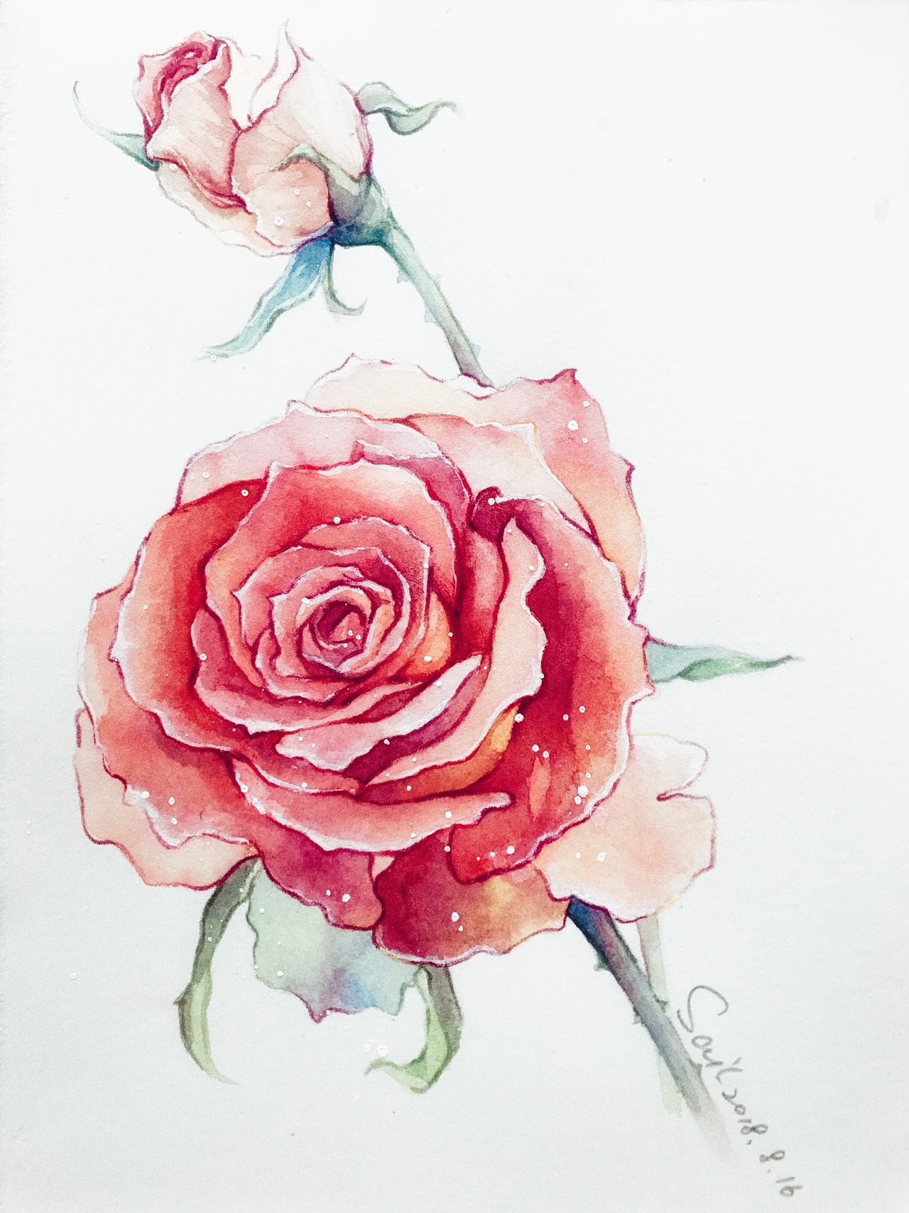 标签水彩玫瑰水彩绘画手绘插画创作时间2018/09/26收录收藏夹查看更多