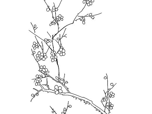 梅兰竹菊
