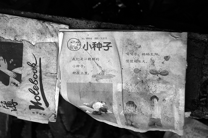 一栋倒塌楼层里我发现了一个本子,上面写着:我们是一颗颗的小种子,种在土里,喝喝水晒晒太阳,慢慢地长大.而现在曾今的孩子真正的被埋在了土里,成为永远也长不大的"种子".