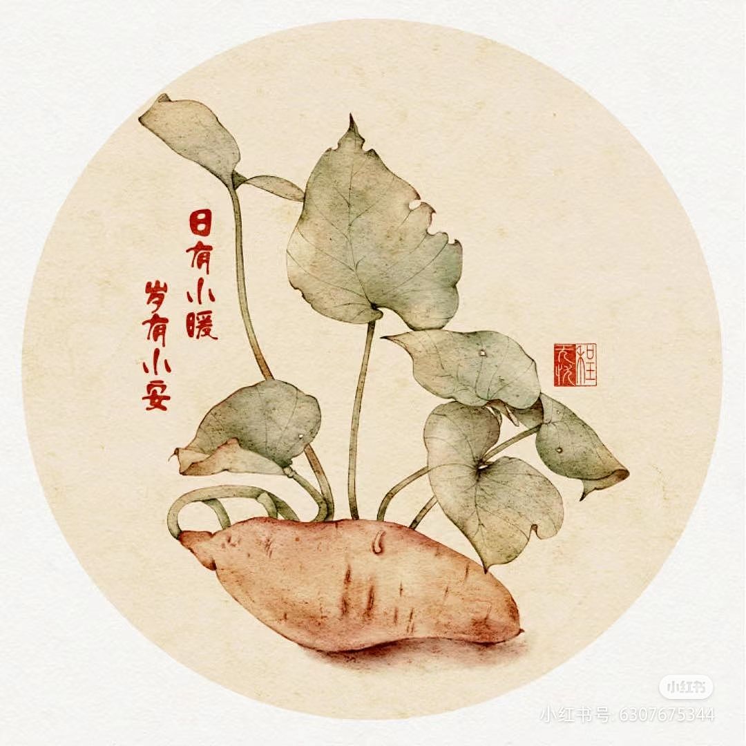 ipad仿工笔复古插画 各种农作物