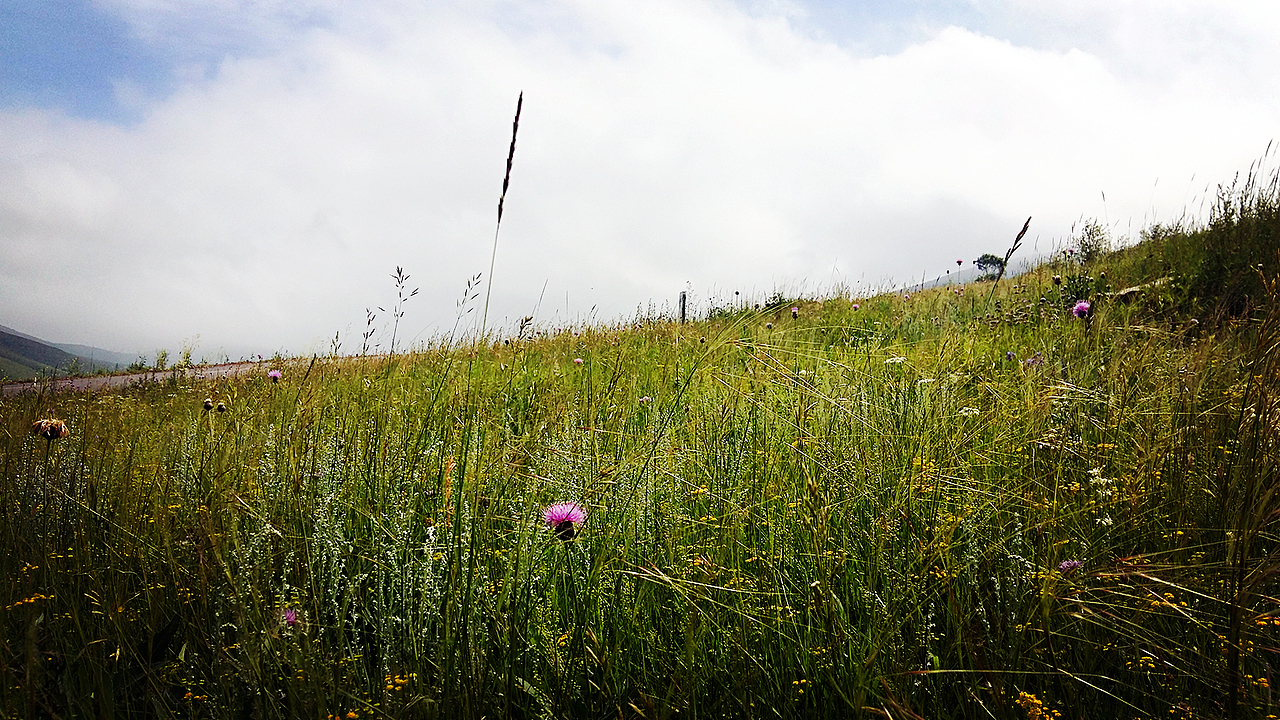 阳光照的云还算白,近段时间一直下雨,天一直都是灰暗的