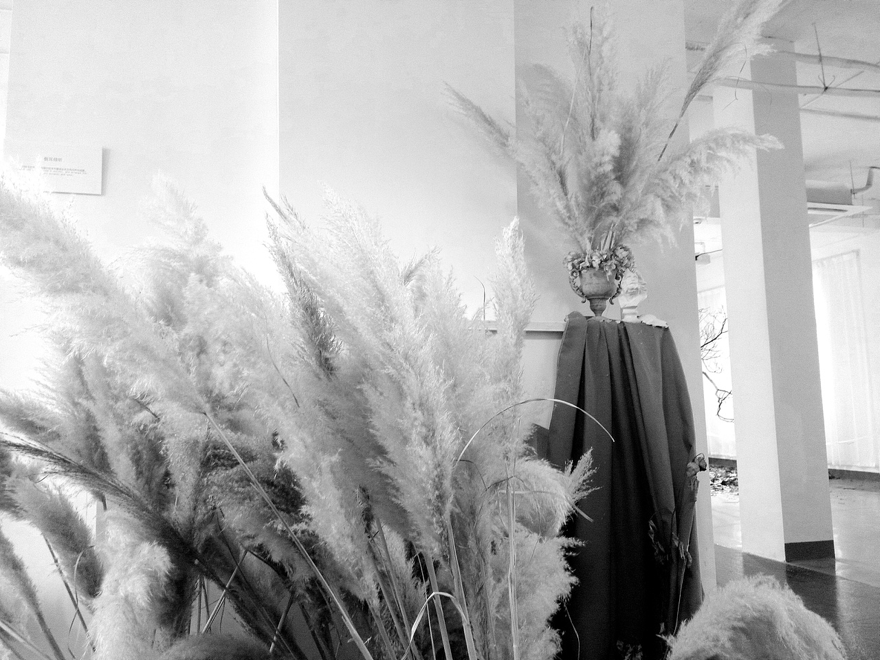 后感（图ZMTc2NTEyMjky） - 人文/纪实摄影 - 站酷设计师月球上种大象原创素材 - 站酷ZCOOL