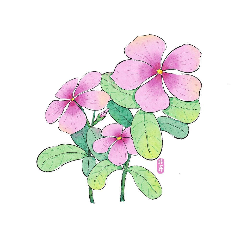 周末忙里偷闲插画练习