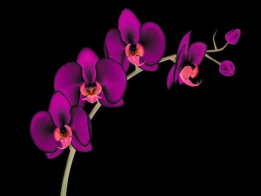 Lab艺术化处理（个人主页-ZMjQ2NTc2NTI=） - 修图/后期 - 站酷设计师mr凡尘子原创素材 - 站酷ZCOOL