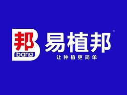 宣传单