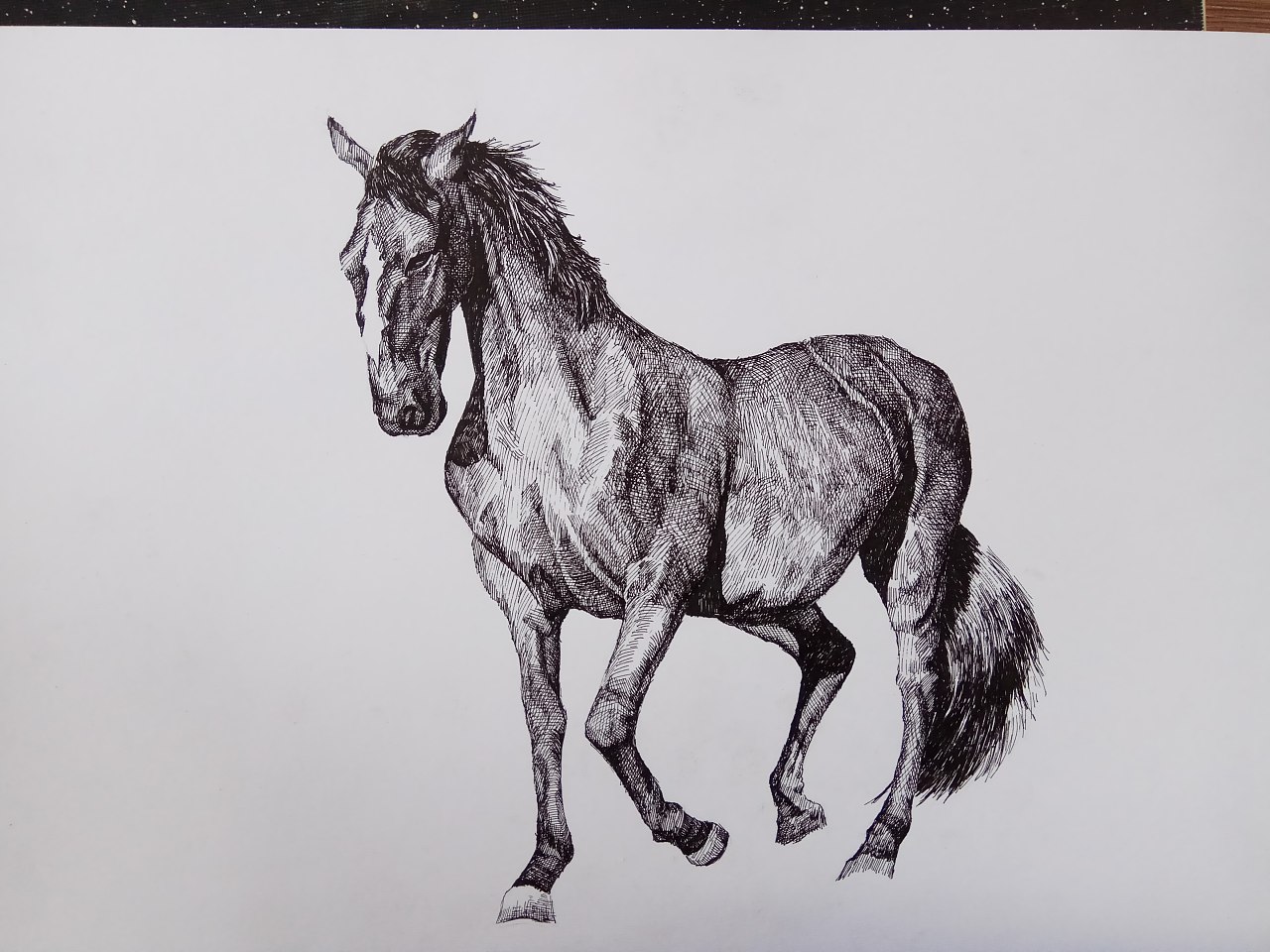 怎么画马的简笔画 马的画法-动物简笔画-欣欣简笔画