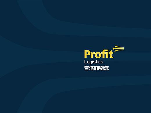 普洛菲物流标志设计