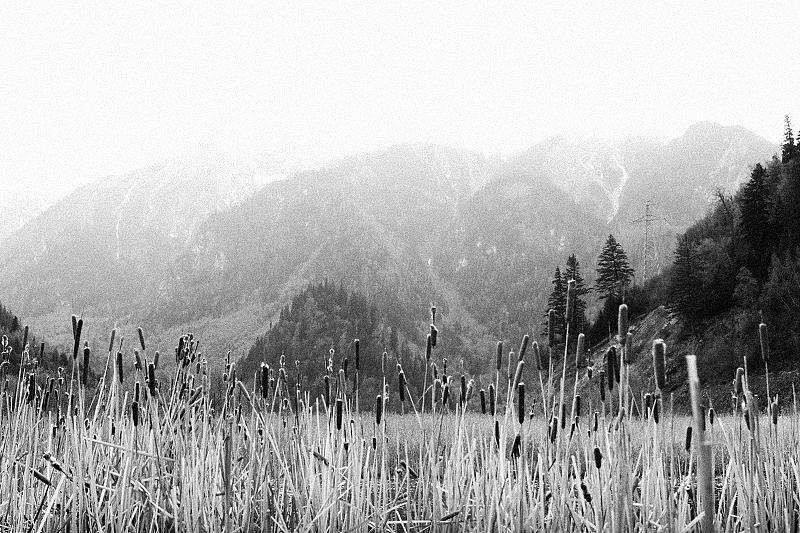 一些风景