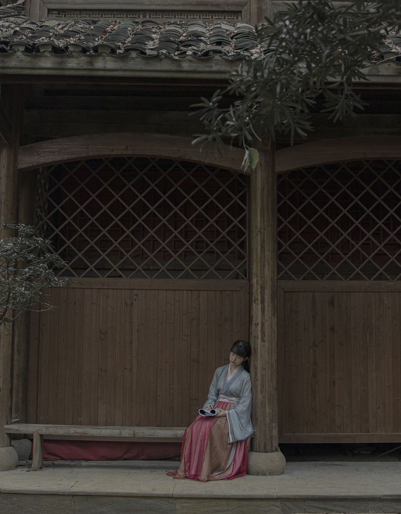 愿有岁月可回首