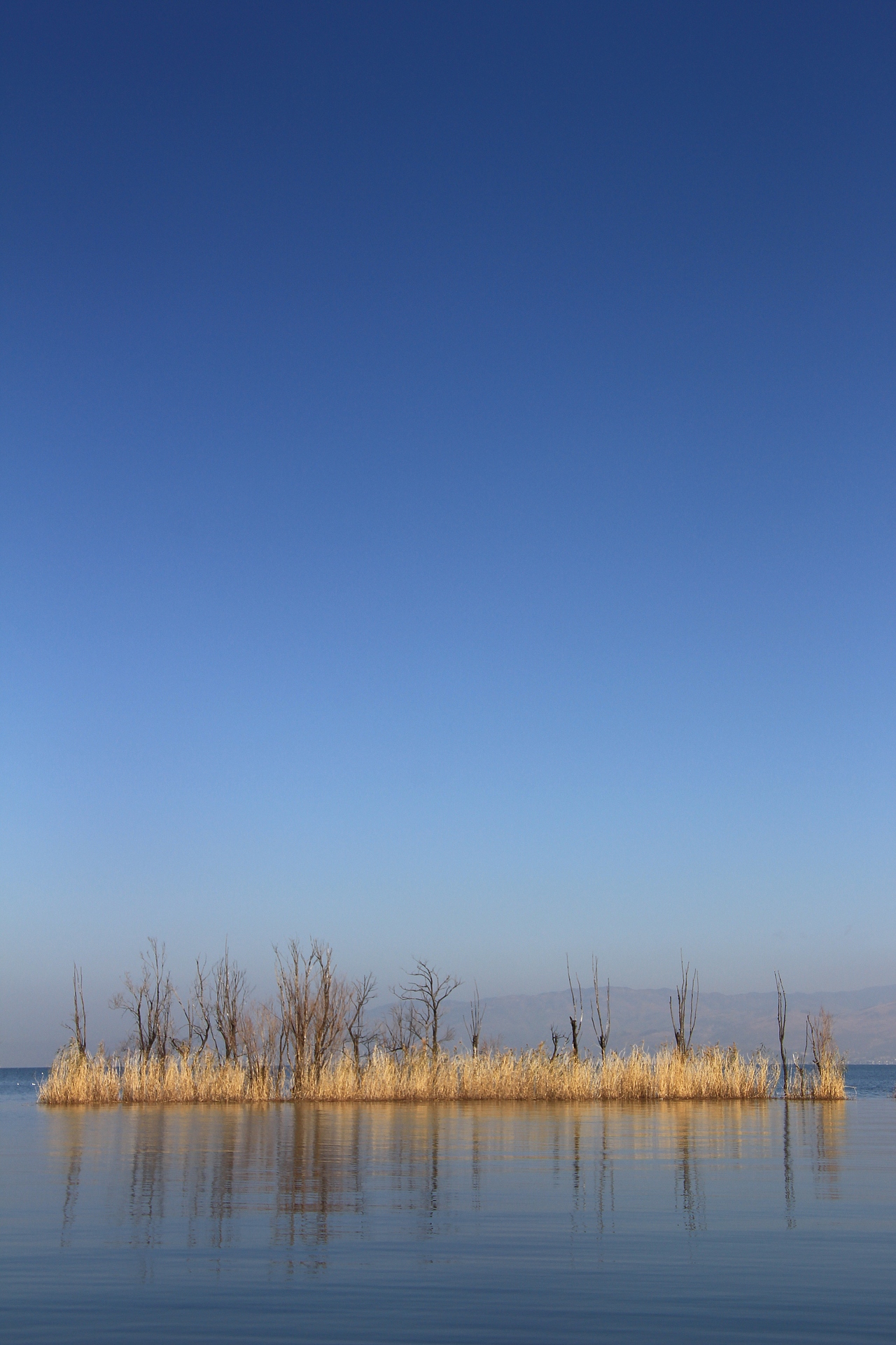 安静的洱海|摄影|风光摄影|在路上zls_原创作品-站酷zcool