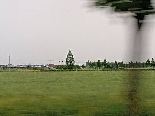 乡间的小路，是你心心念念的地方。你多久没回家了？