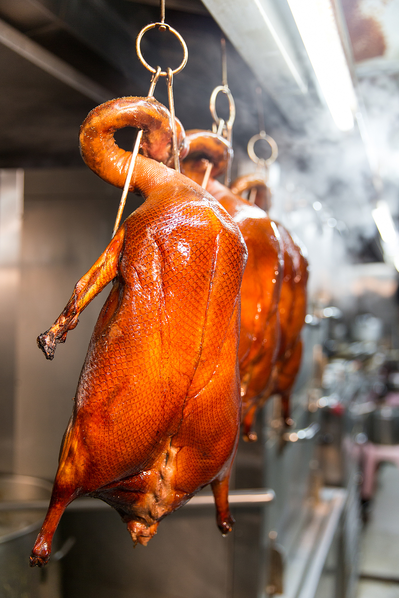 美食摄影 | 深井烧鹅（图ZMTY5ODQzODEy） - 产品摄影 - 站酷设计师拍檔檔主原创素材 - 站酷ZCOOL