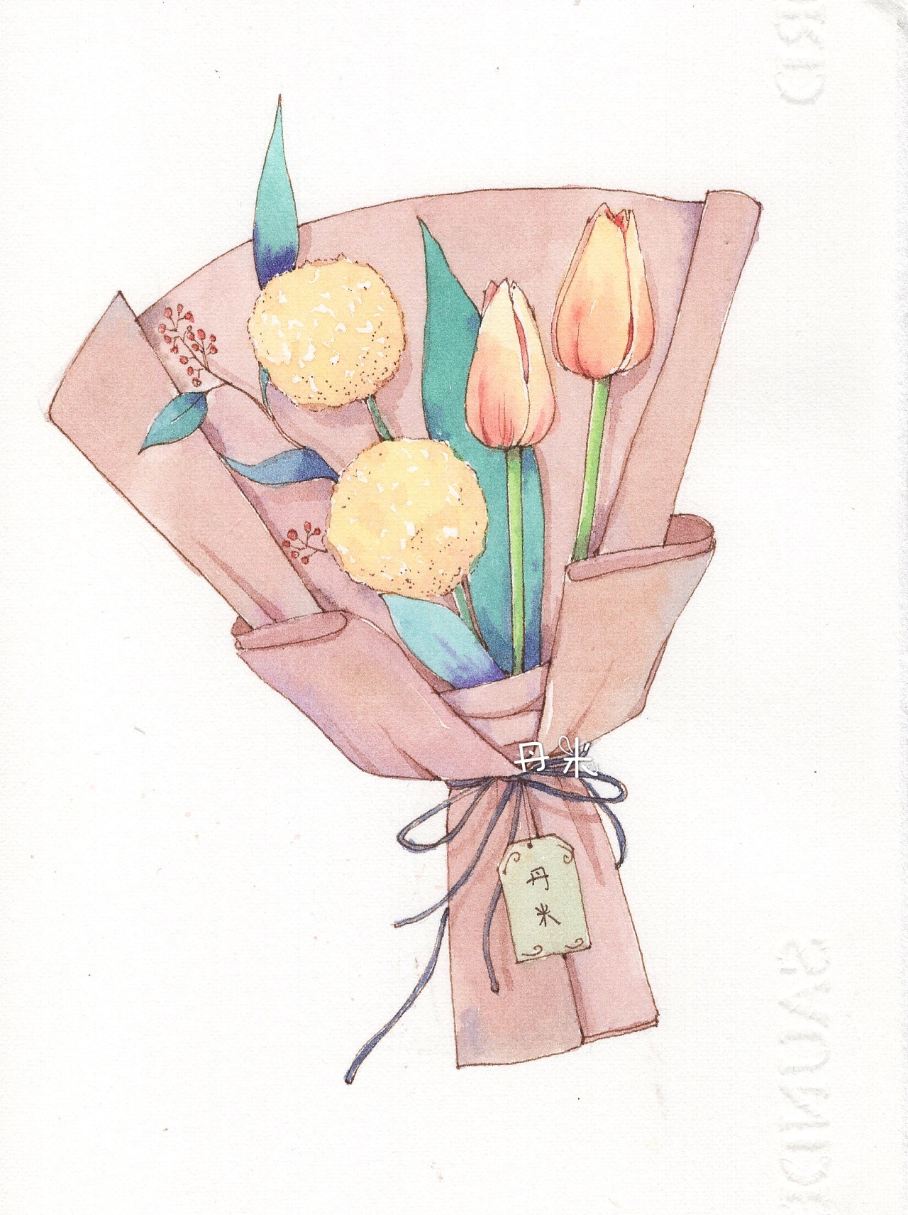 小清新 手绘插画钢笔淡彩花儿系列