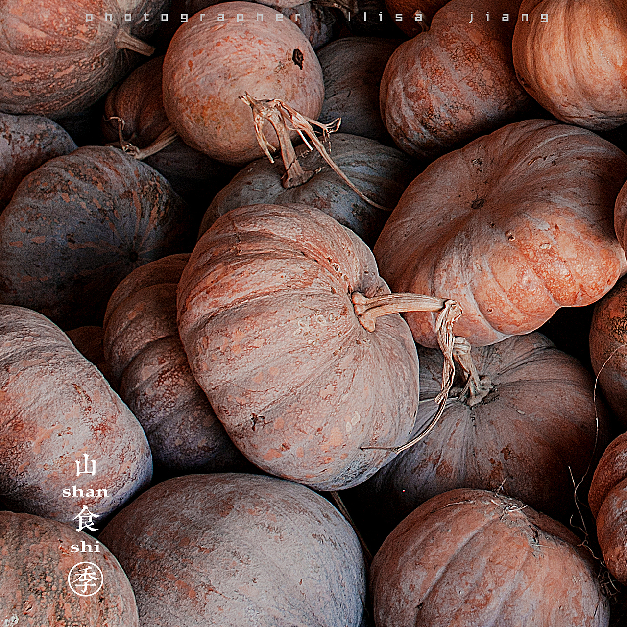 小品四季（图ZMTA4NTgyNTI0） - 产品摄影 - 站酷设计师挲lisa原创素材 - 站酷ZCOOL