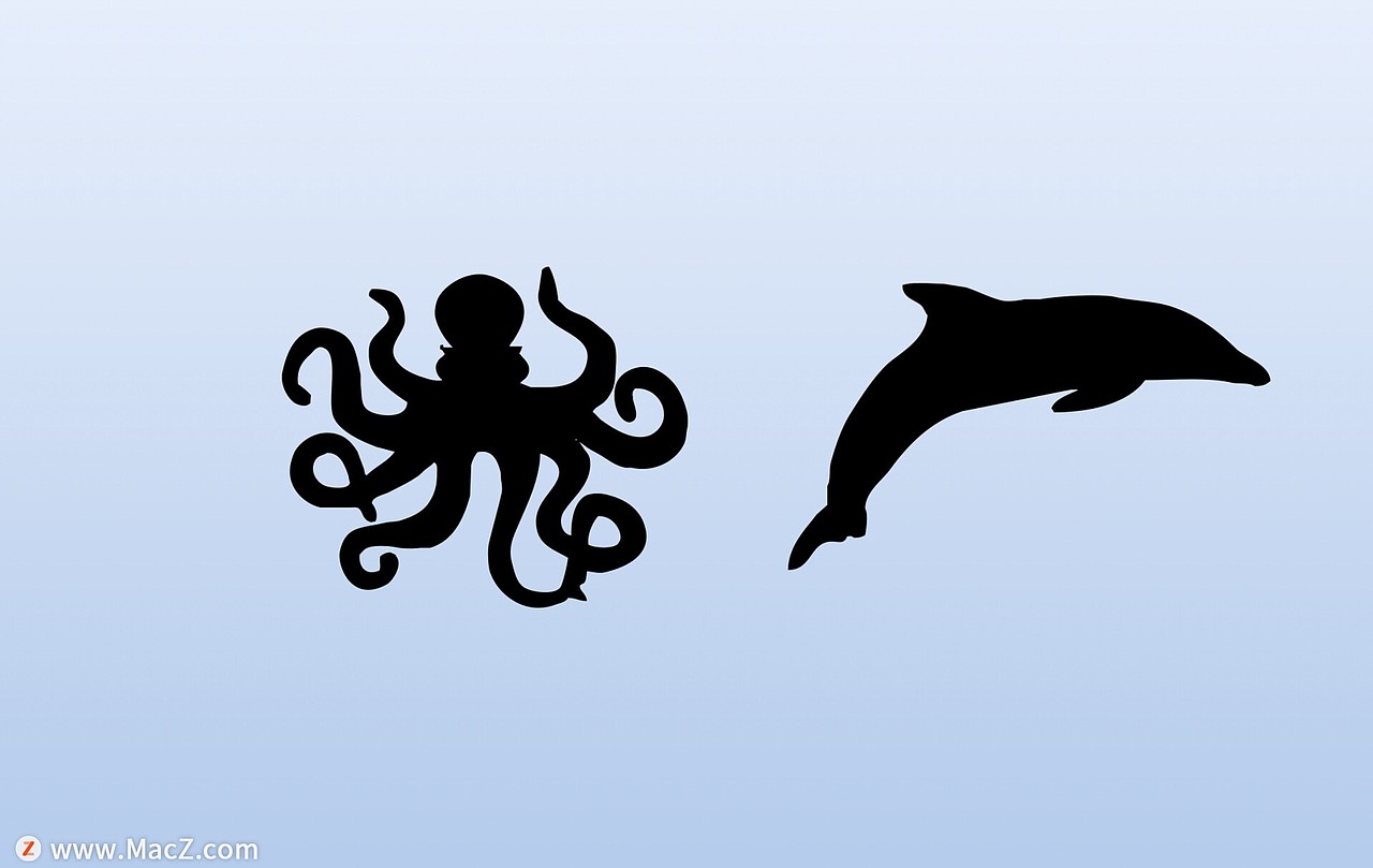 21种海洋鱼类ps形状