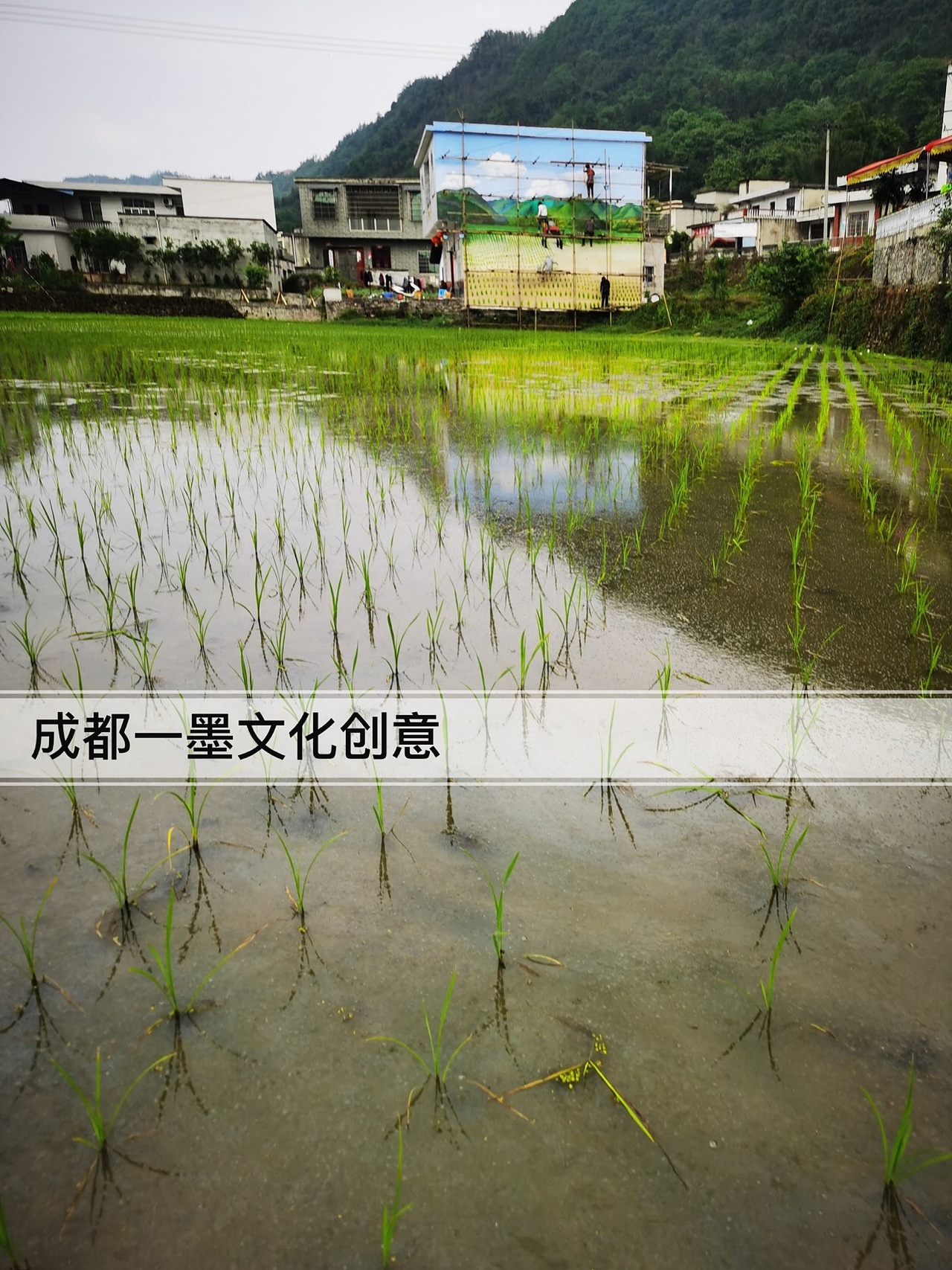 乡村文化墙,农村壁画,农村墙绘