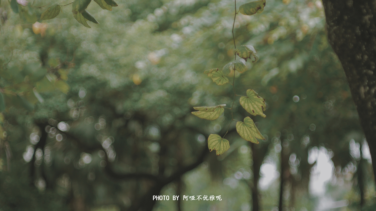 与家人一起的“五一”假期