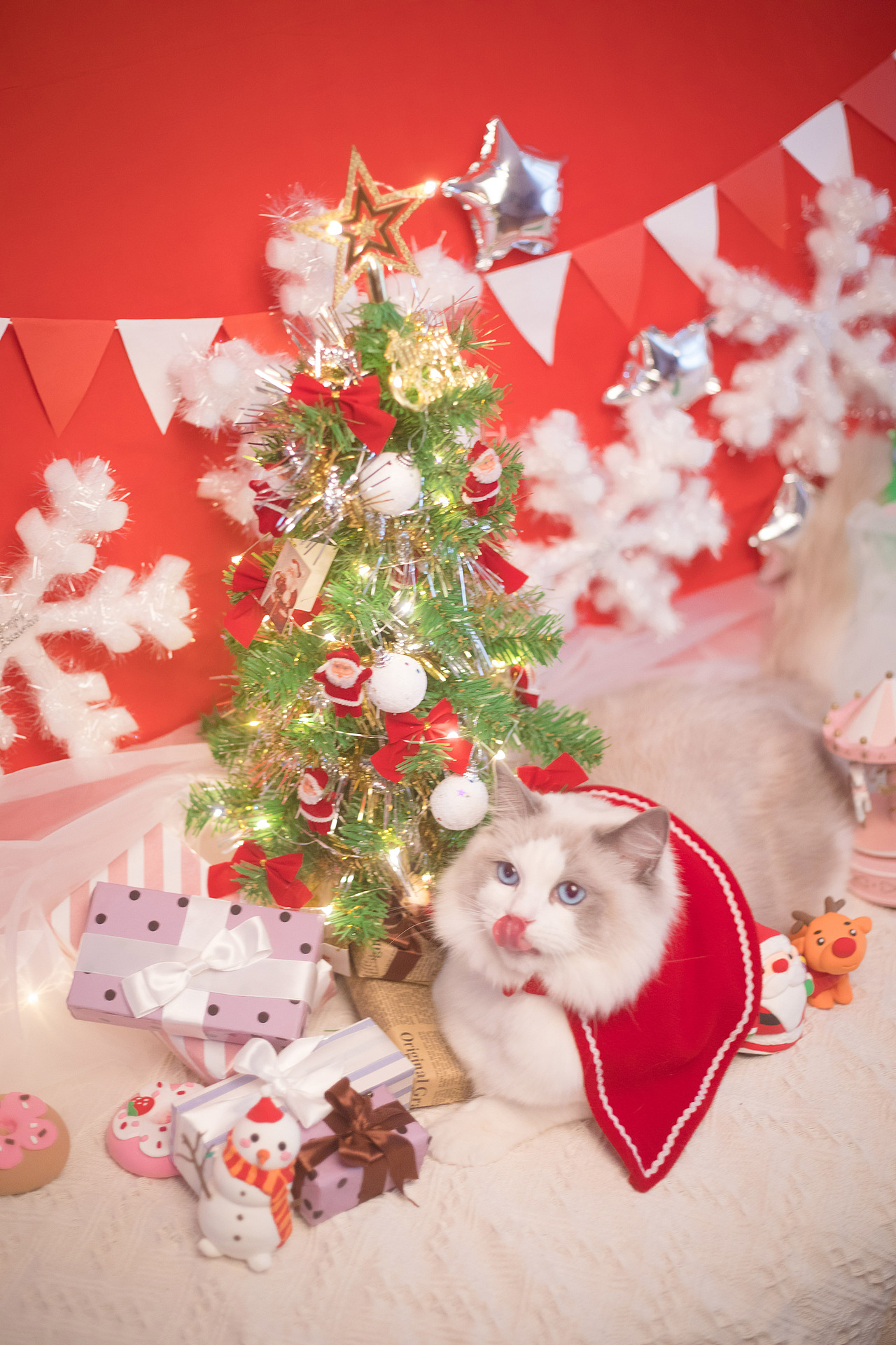 圣诞小火火（图ZMTAwODA1Mzg0） - 宠物摄影 - 站酷设计师懒惰的胡奇奇原创素材 - 站酷ZCOOL