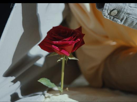 Adobe国际认证|深度解析从求职到面试,如何解决一个问题？