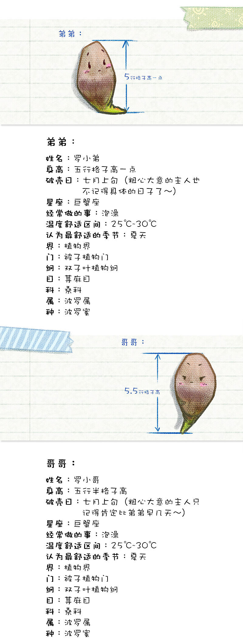 小不坏的波罗蜜-啊！好亮！（图ZMTc1NjE5MDA4） - 中/长篇漫画 - 站酷设计师小尘土不坏原创素材 - 站酷ZCOOL