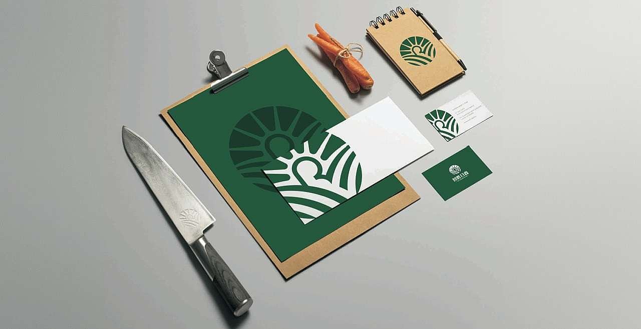 珠海市智胜日鑫健康产业科技有限公司品牌设计