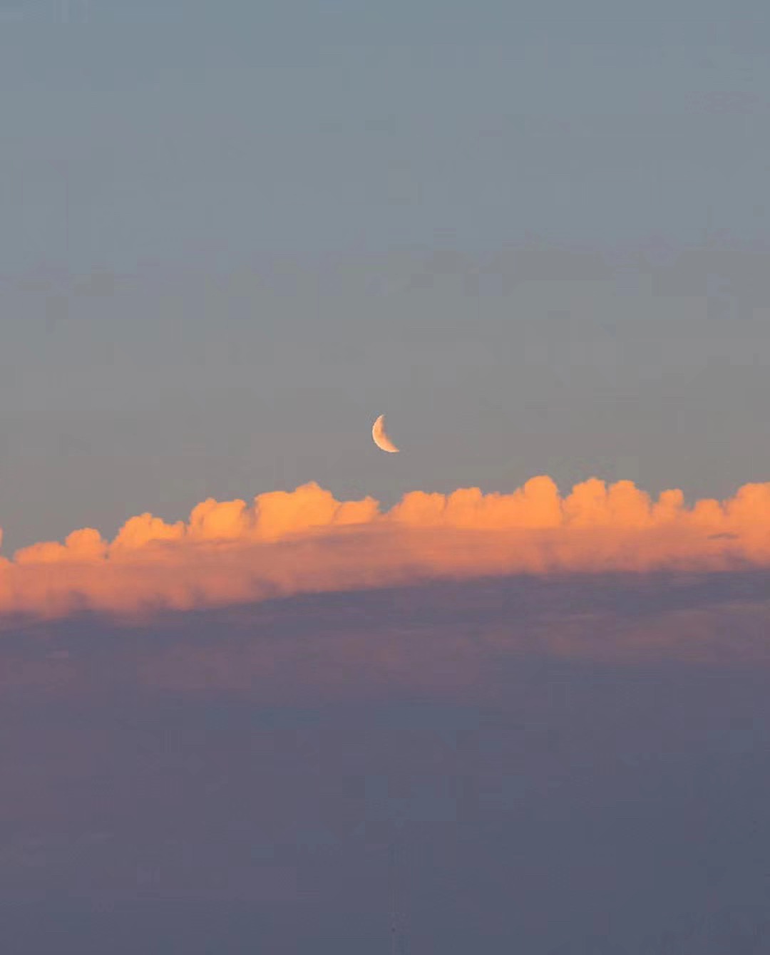 志红远行的个人主页（背景预览） - 主页背景设置 - 站酷设计师志红远行原创素材 - 站酷ZCOOL