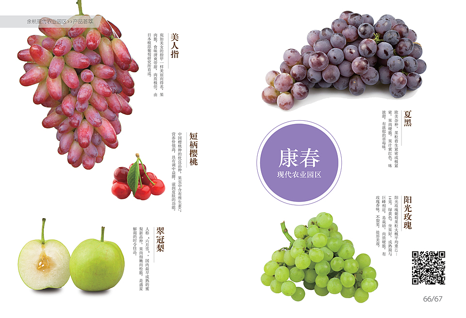 《余杭现代农业园区》第二期（图ZMjY4MTE0MTI=） - 书籍/画册 - 站酷设计师sdcamper原创素材 - 站酷ZCOOL