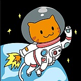 了不起的阿飞猫的头像