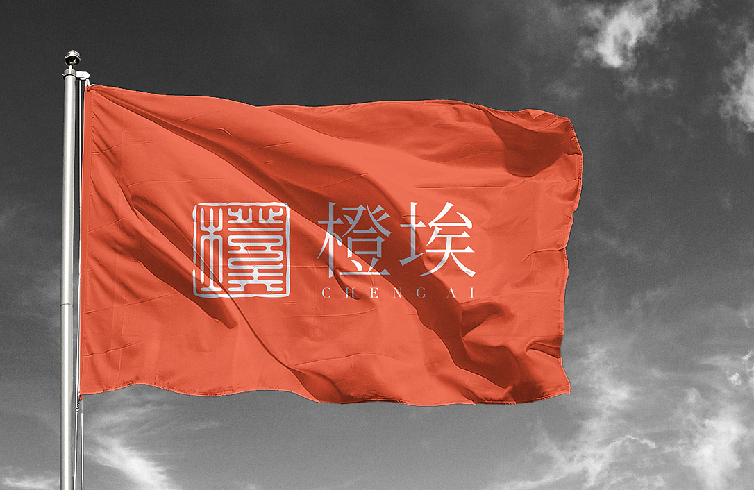 橙埃企业管理品牌形象设计