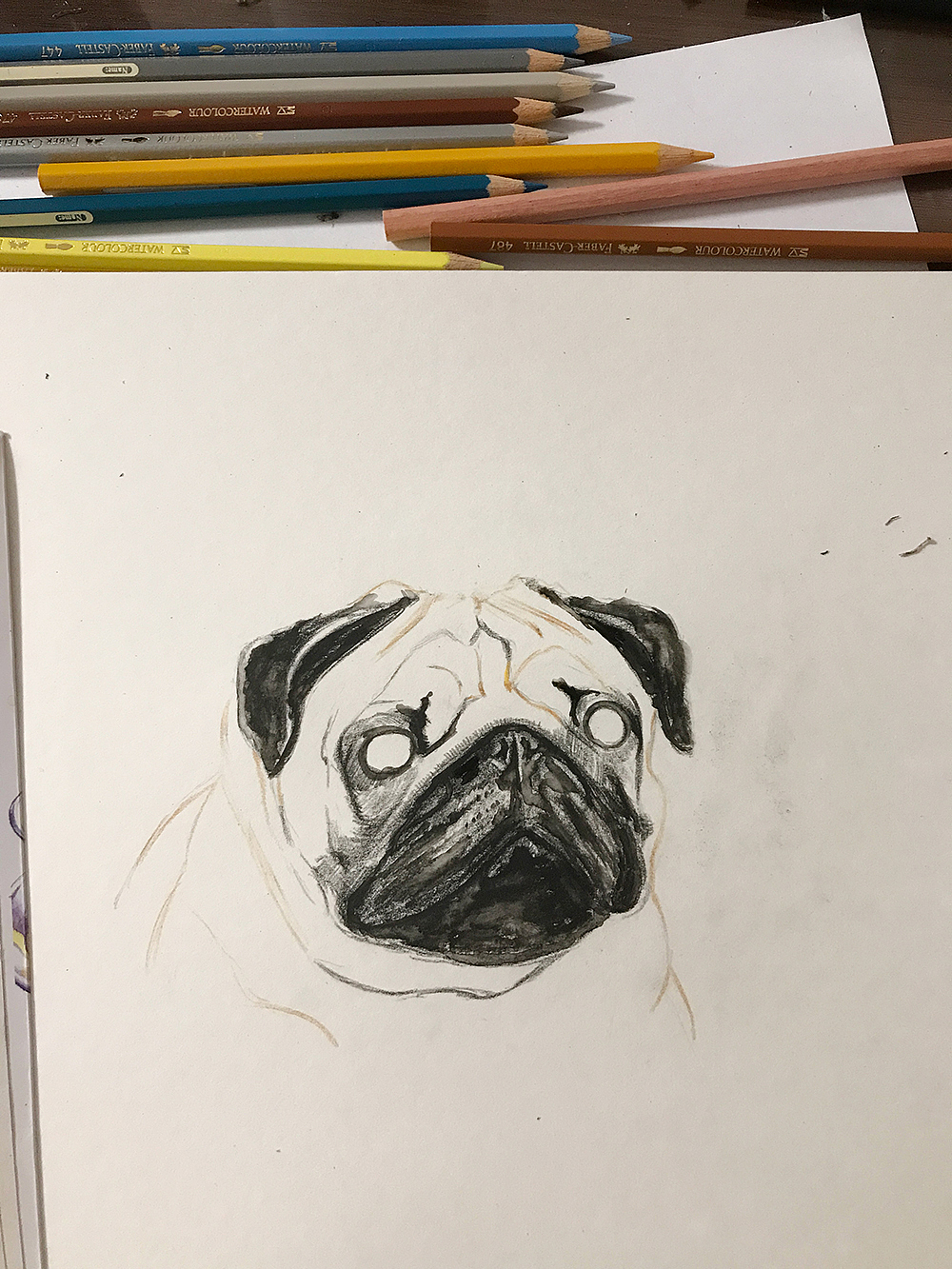 8月份绘画作品
