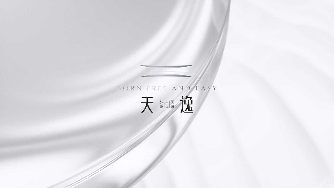 竞标作品-天逸（图ZMjkyMjU0Mzg0） - 品牌 - 站酷设计师尚武2021原创素材 - 站酷ZCOOL