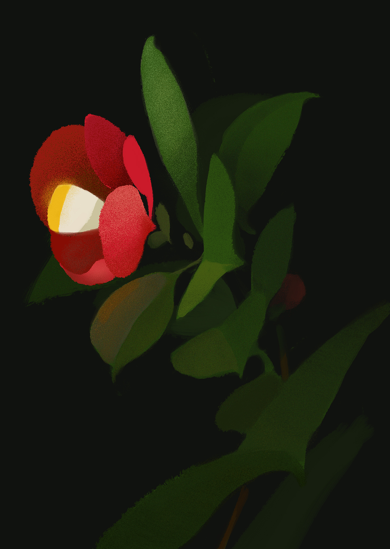 植物习作（图ZNDE1NTAzNjA=） - 创作习作 - 站酷设计师kelai原创素材 - 站酷ZCOOL