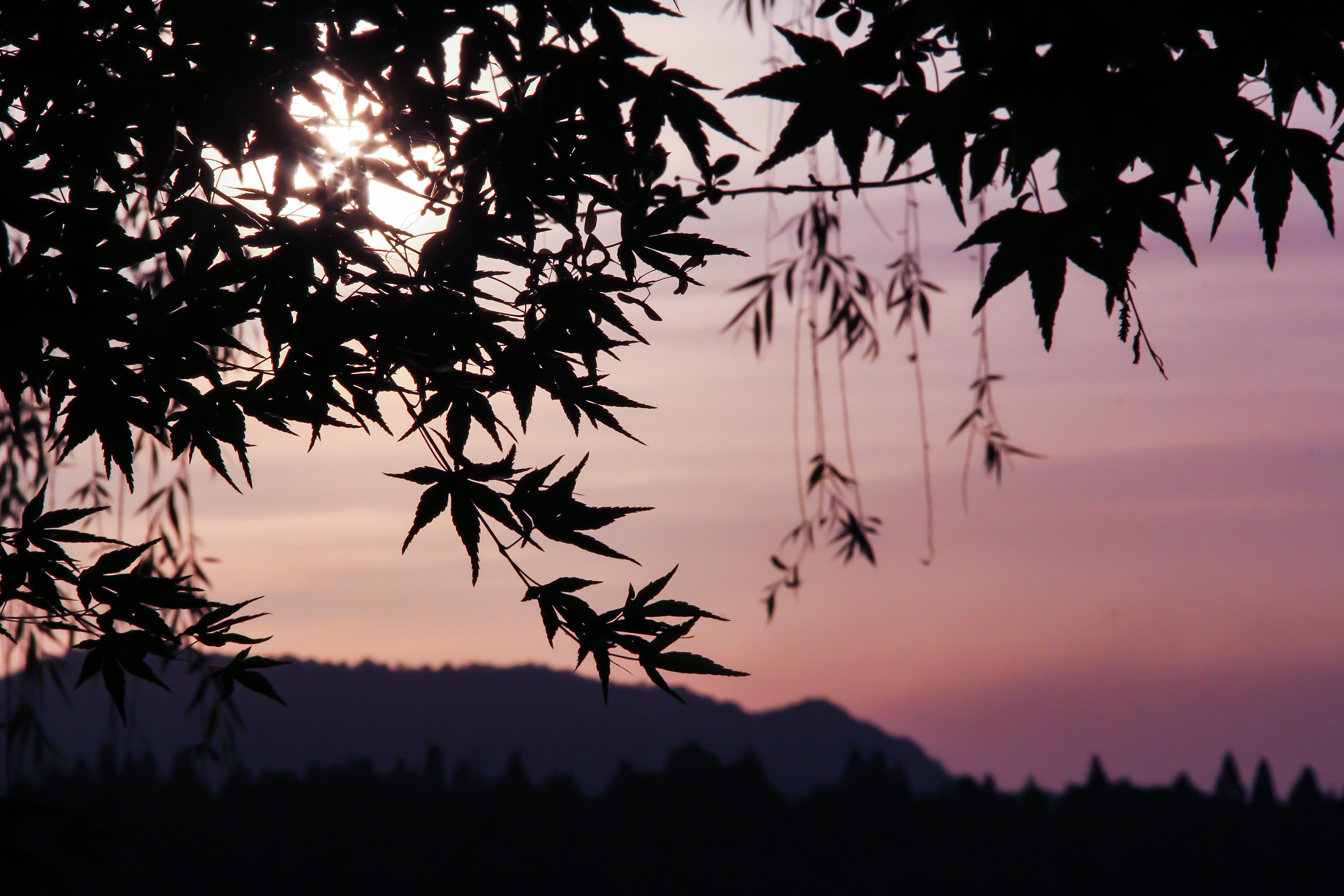 漪ran的个人主页（封面预览） - 主页封面设置 - 站酷设计师漪ran原创素材 - 站酷ZCOOL