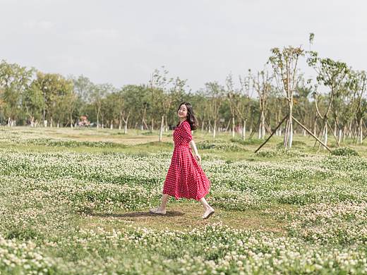 星河滚烫/你是人间理想