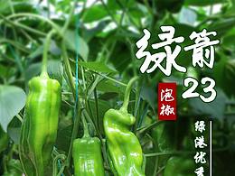 蔬菜
