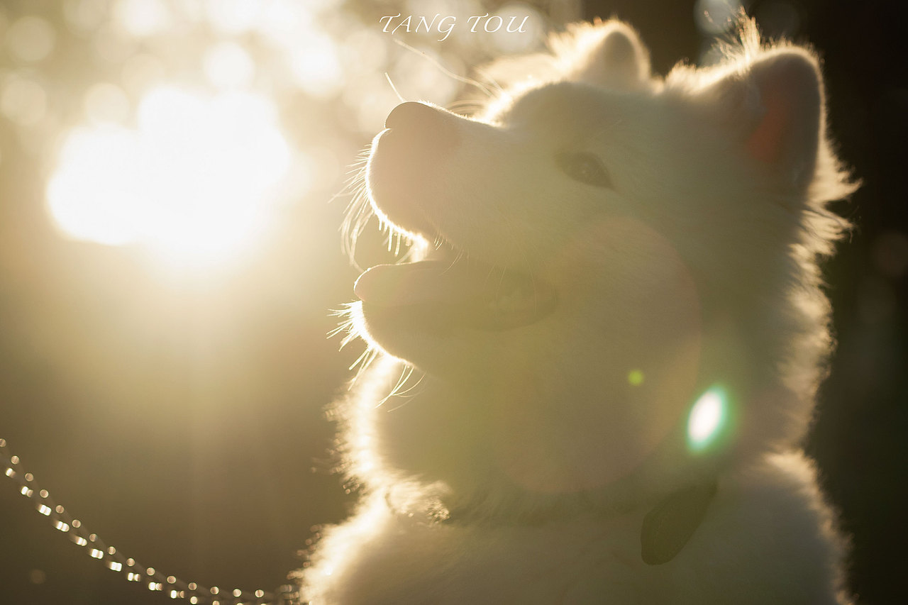 我家的微笑天使