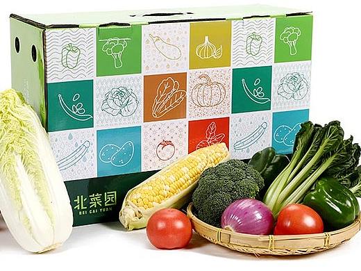 有机蔬菜-vis视觉