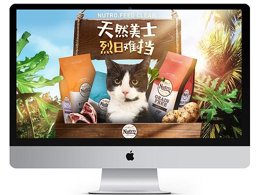 美士夏季猫粮首页-网页设计