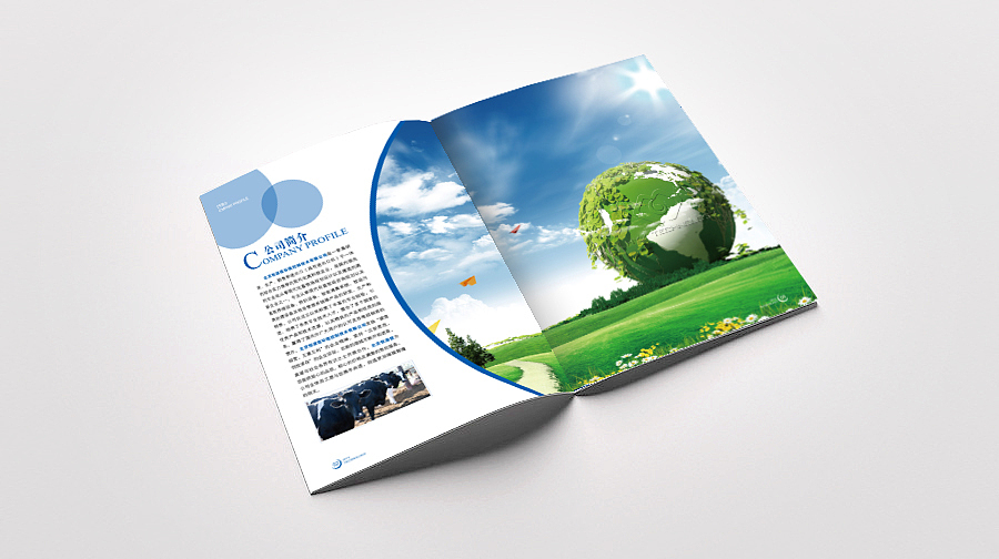 产品手册（图ZMjU5MDY2NTI=） - 书籍/画册 - 站酷设计师Miao小丹原创素材 - 站酷ZCOOL