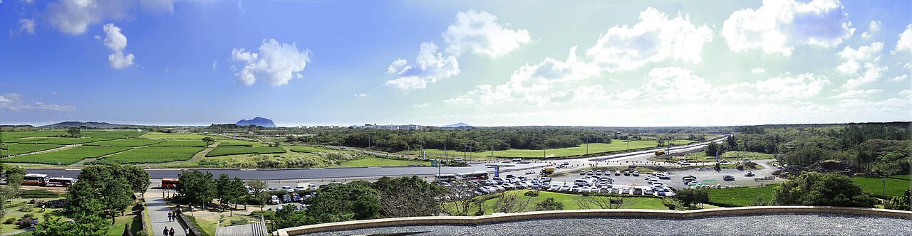 济州绿茶博物馆上俯瞰茶田